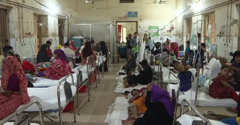 হাসপালে ডেঙ্গু আক্রান্ত রোগী